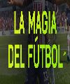 MaGuinhos