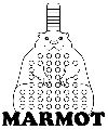 Marmot