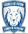 Leones De Atacama
