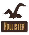 Los Hollister