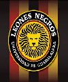 14 LEONES NEGROS