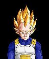 Vegeta SS