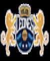 VIEJOS LEONES