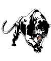 RCNV Panthers