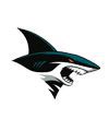 RCNV Sharks