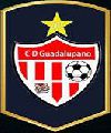 C.D. Guadalupano
