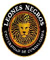 LEONES NEGROS NR