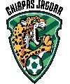 Chiapas Jaguar