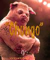 Team Chungo