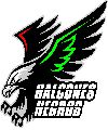1°A Halcones Negros