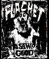 Flashe