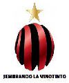 Sembrando La Vinotinto