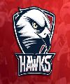 Team Hawk