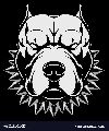 WarriorSDogs