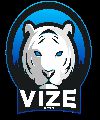 Vize E-Sports