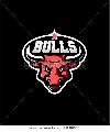 Bulls