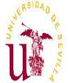 Universidad de Sevilla R.C.