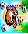 Tigres Ricardo Urriera