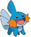 Mudkip