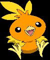 Torchic