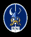 Vikingos