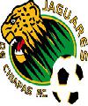 Jaguares