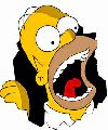 TEAM SIMPSON