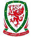 Dannu FC