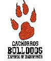 Cachorras