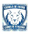 Leones de Atacama