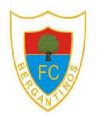 Bergantiños FC