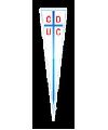 Universidad Católica