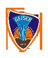 GEISER