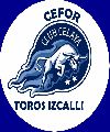 Toros Izcalli 04