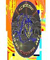 ACADEMIA CHALCHUAPA LOBOS