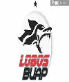 Lobos Buap