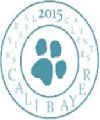 Calibayer