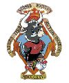 Pinoso Athletic FS