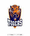 TIGERS