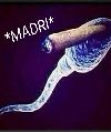Madri