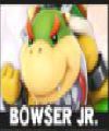 BOWSER JR.