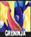 GRENINJA