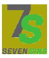 Seven Sins