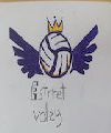 Street Volley