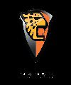 Jaguares