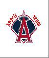 Angels Team