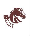 Boise Broncos