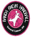 Banda Ancha