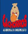 Cachorros Barranquilla