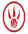 Raptors